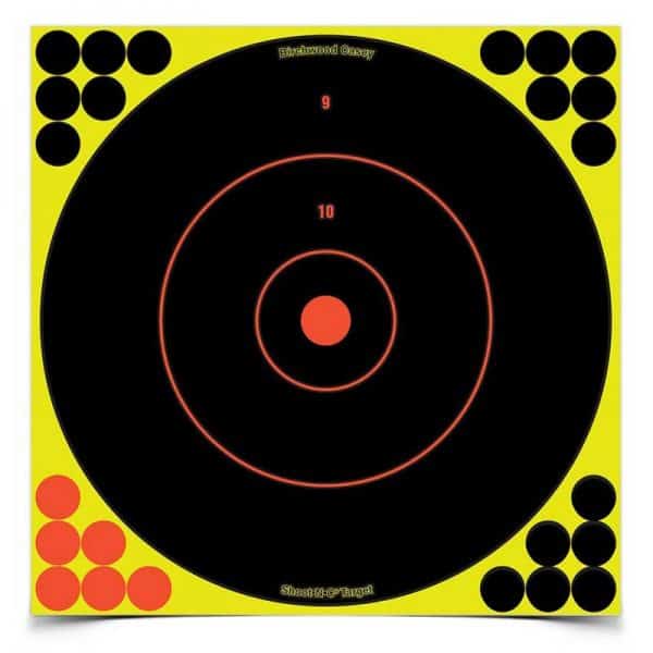 BIRCHWOOD CASEY SHOOT-N-C 12" BULLS EYE